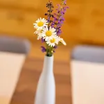 Privillage Stare -