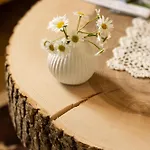 Privillage Stare - Hotel 3*