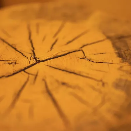 ホテル Privillage Stare - 3*