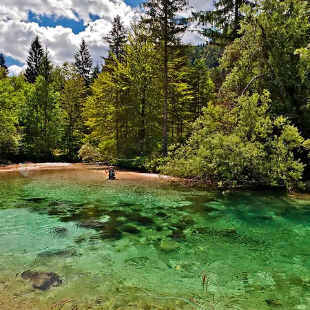 Отель Privillage Stare - 3*