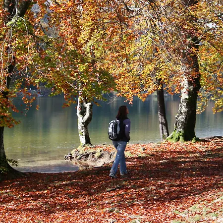 Privillage Stare - Отель