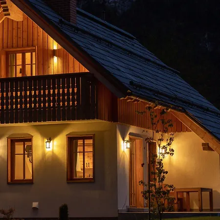 Privillage Stare - ボーヒニ