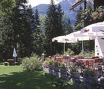 Privillage Stare - ボーヒニ