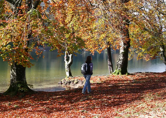 Privillage Stare - B&B Hotel