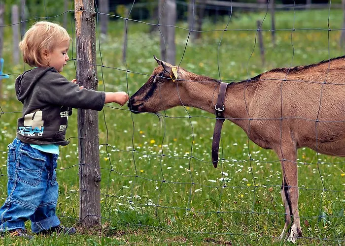 Privillage Stare - B&B 3*