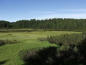 Privillage Stare - B&B